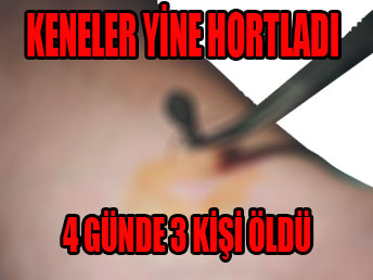 Kırım-Kongo'dan ölenlerin sayısı 3 oldu Kırım-Kongo'dan ölenlerin sayısı 3 oldu
